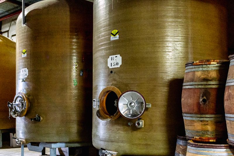 Photo de Visite de la vigne à la cave