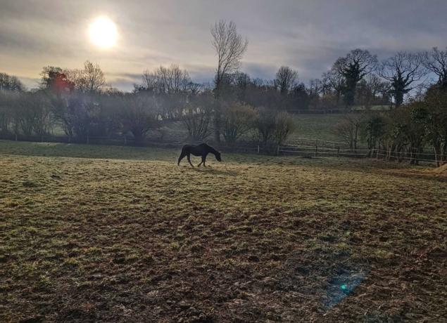 Photo de La Renaudière Féret