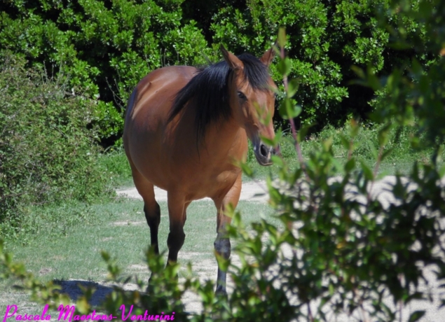 Photo de La Canardière