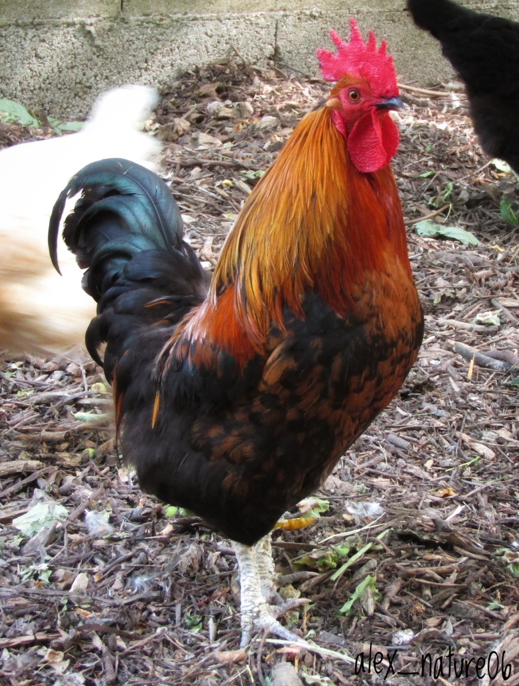 Photo de Graines de fermiers