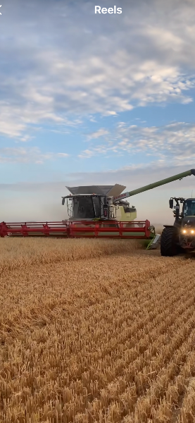 Photo de Agriculture céréalière 