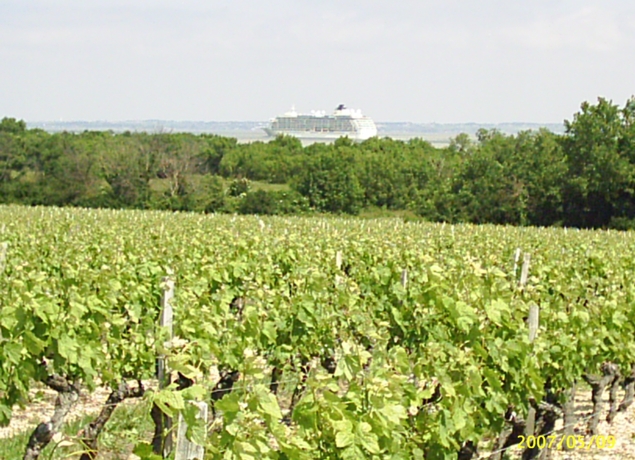 Photo de Château Saint-Christoly
