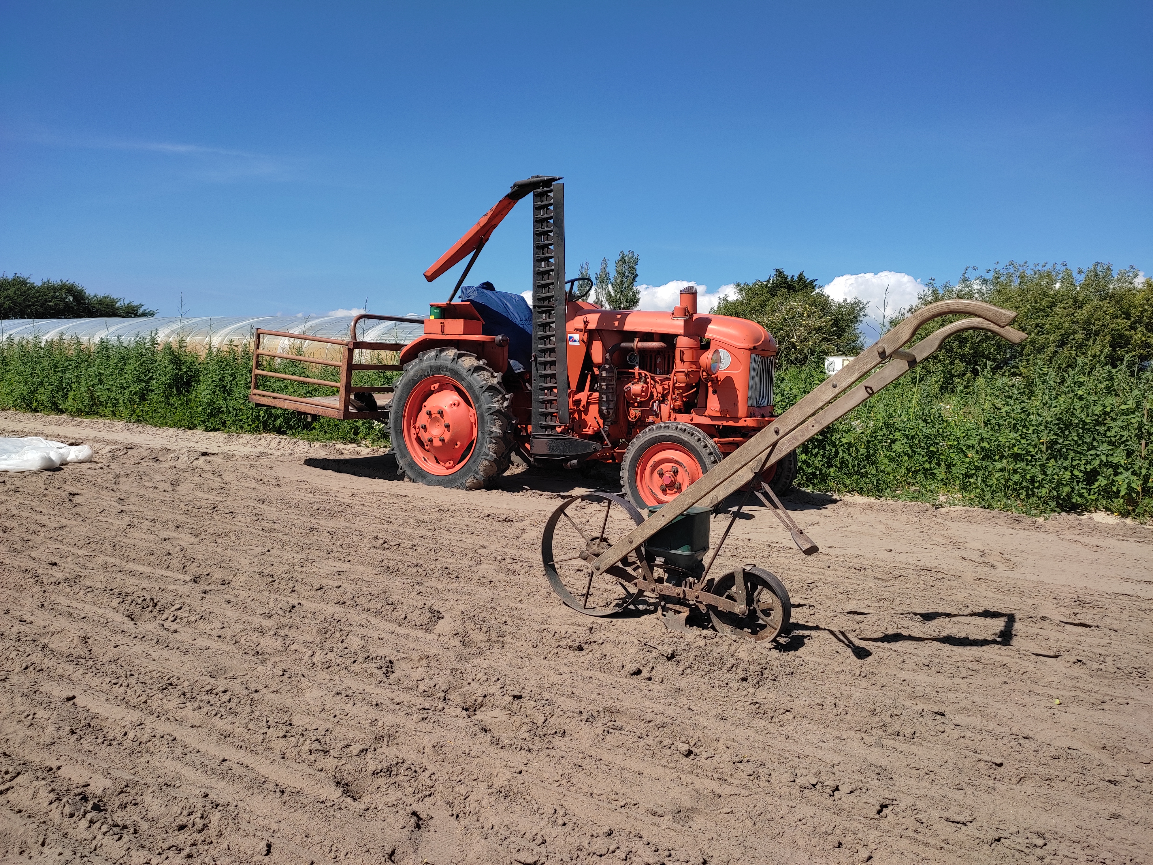 Photo de Le petit coin bio