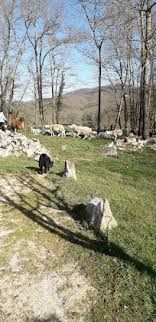 Photo de Visite de ferme