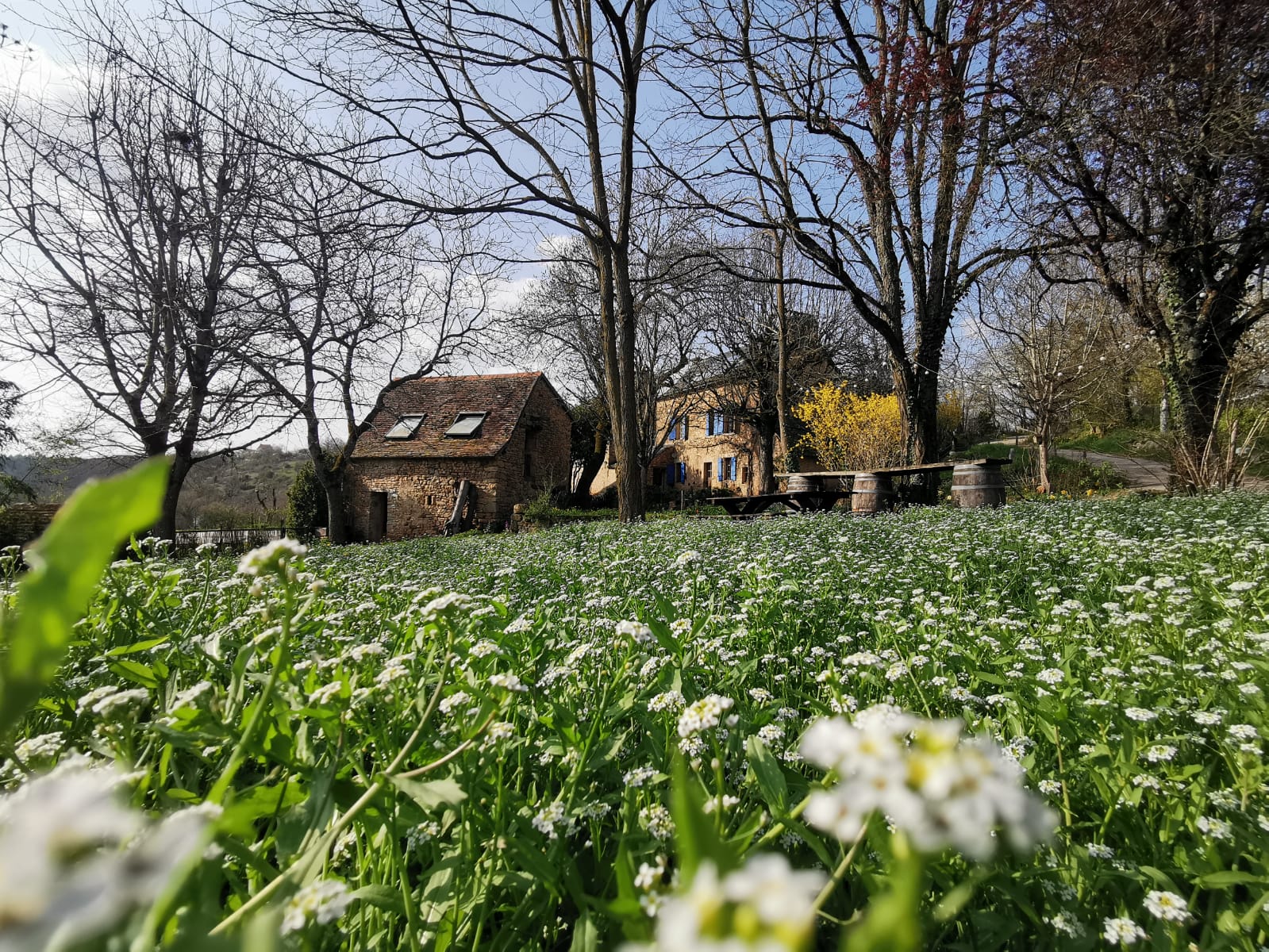 Photo de Les Jardins de Jammes 