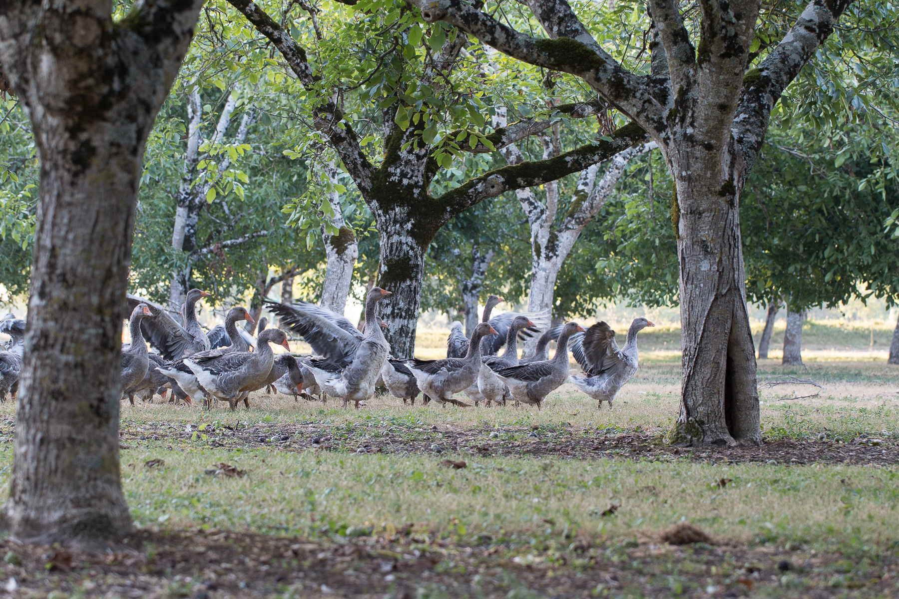 Photo de Ferme Andrevias 
