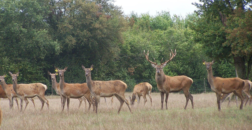 Photo de Ferme de Villaine