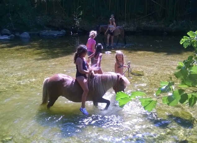 Photo de Les poneys du val d'émeraude