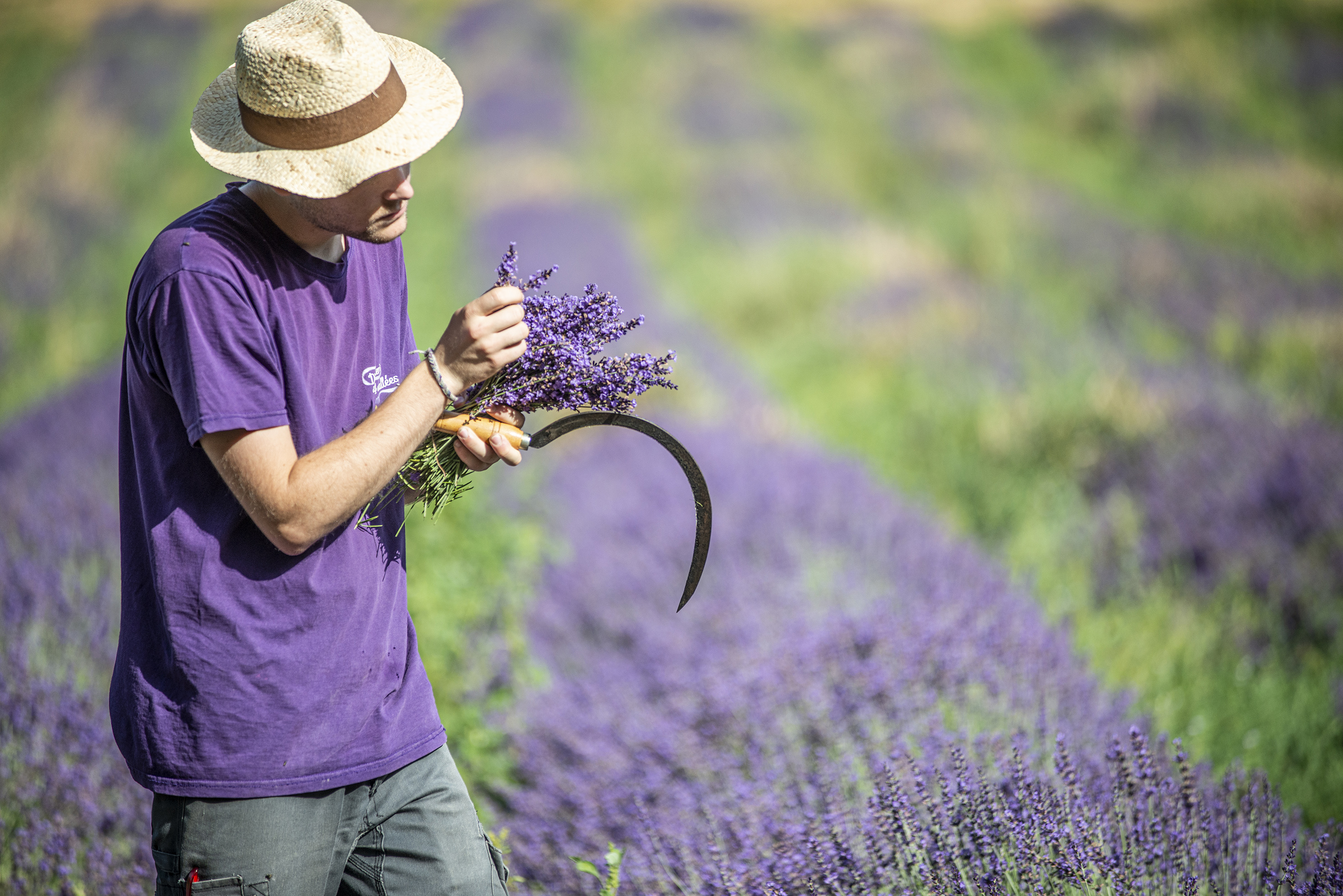 Photo de Distillerie des 4 Vallées