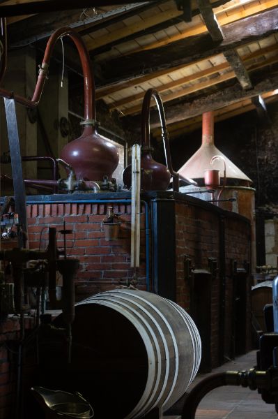 Photo de Visite oenotouristique guidée 