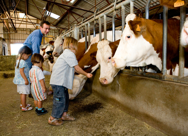 Photo de Ferme d'Anglards Le Pommier