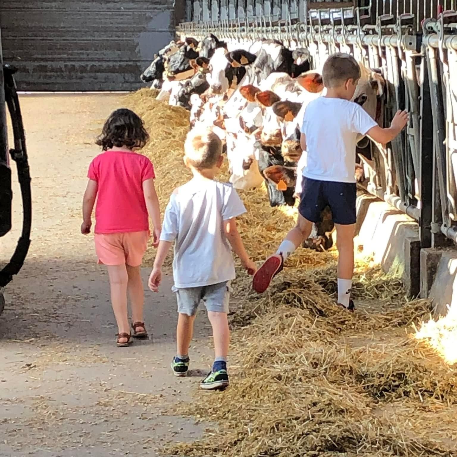 Photo de Visite de la ferme