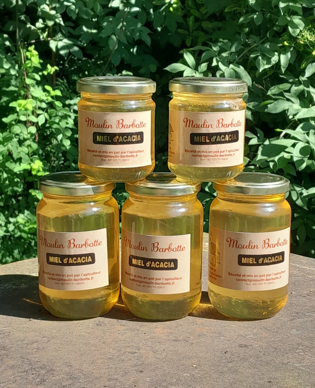 Photo de A la découverte du métier de l'apiculteur 