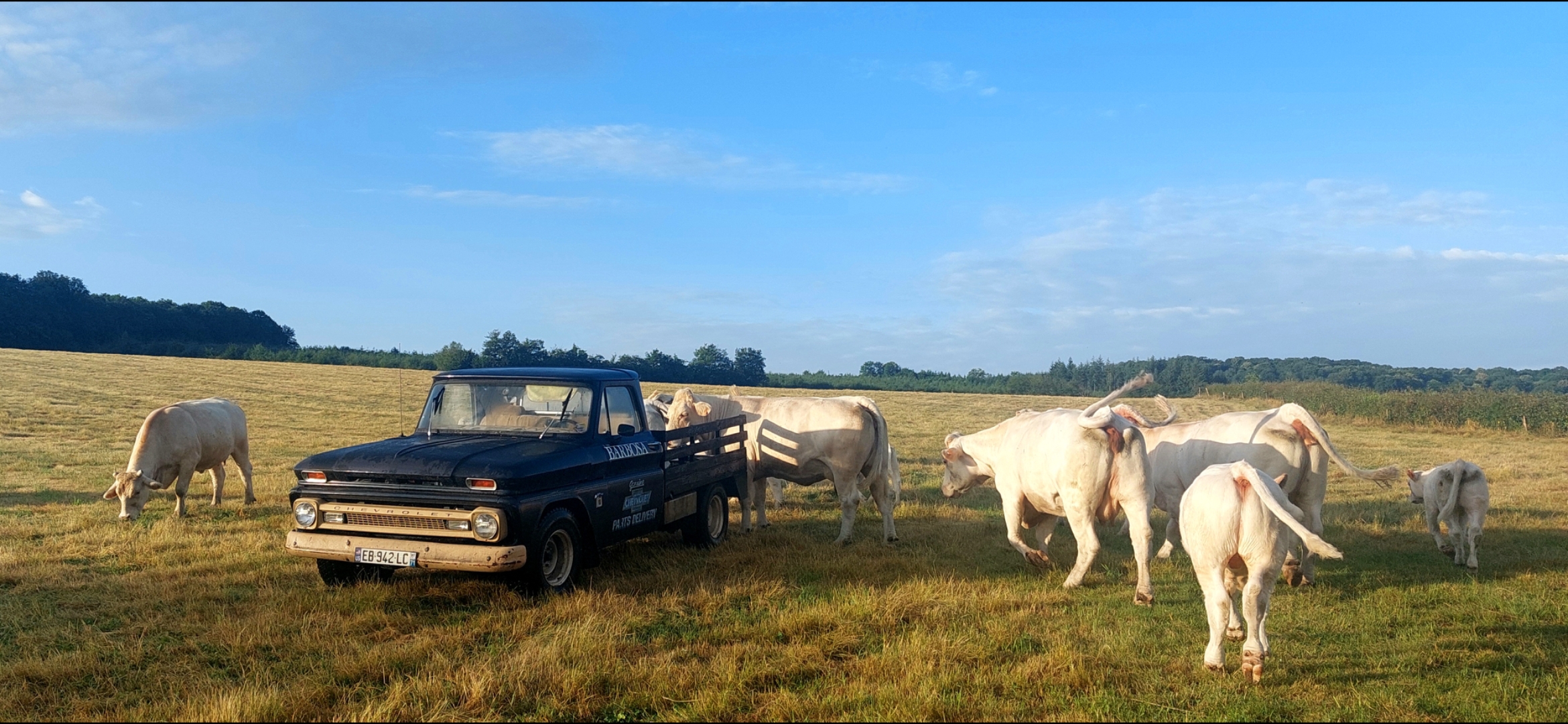 Photo de Un p'tit coin de paradis