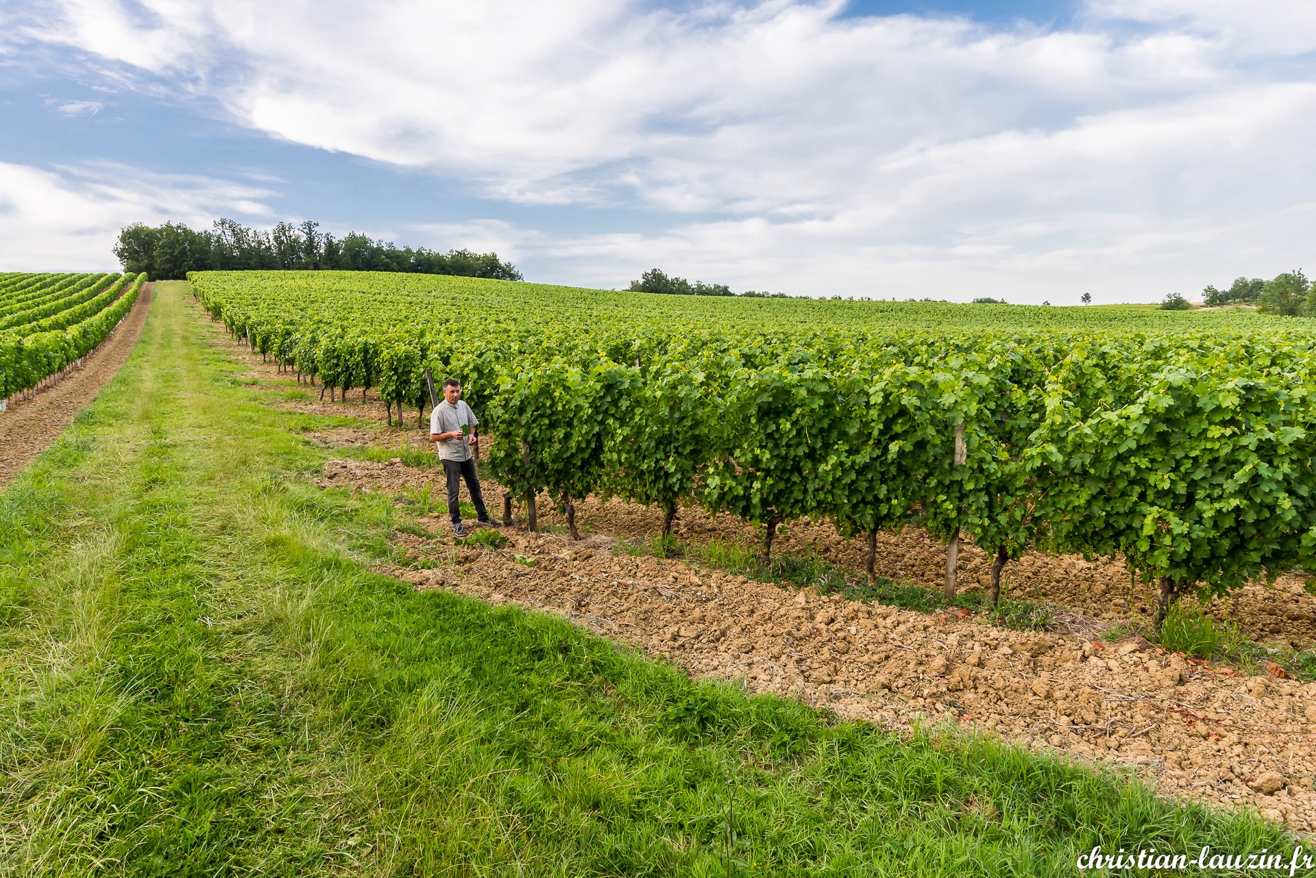 Domaine de Guillau