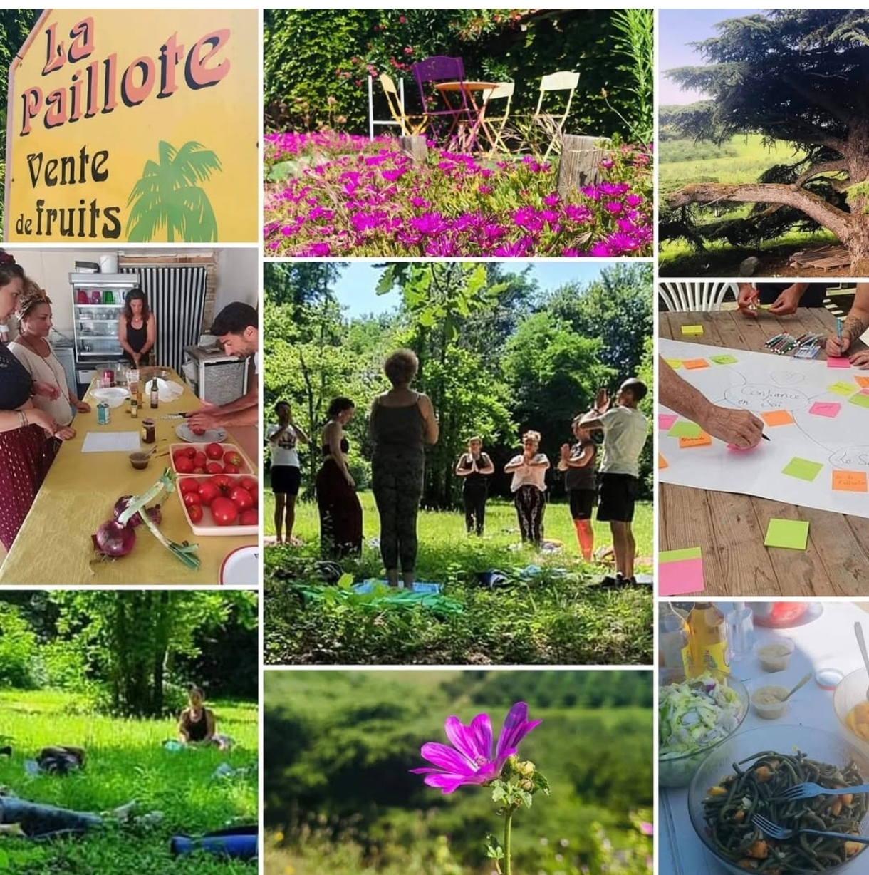 Photo de La paillote 