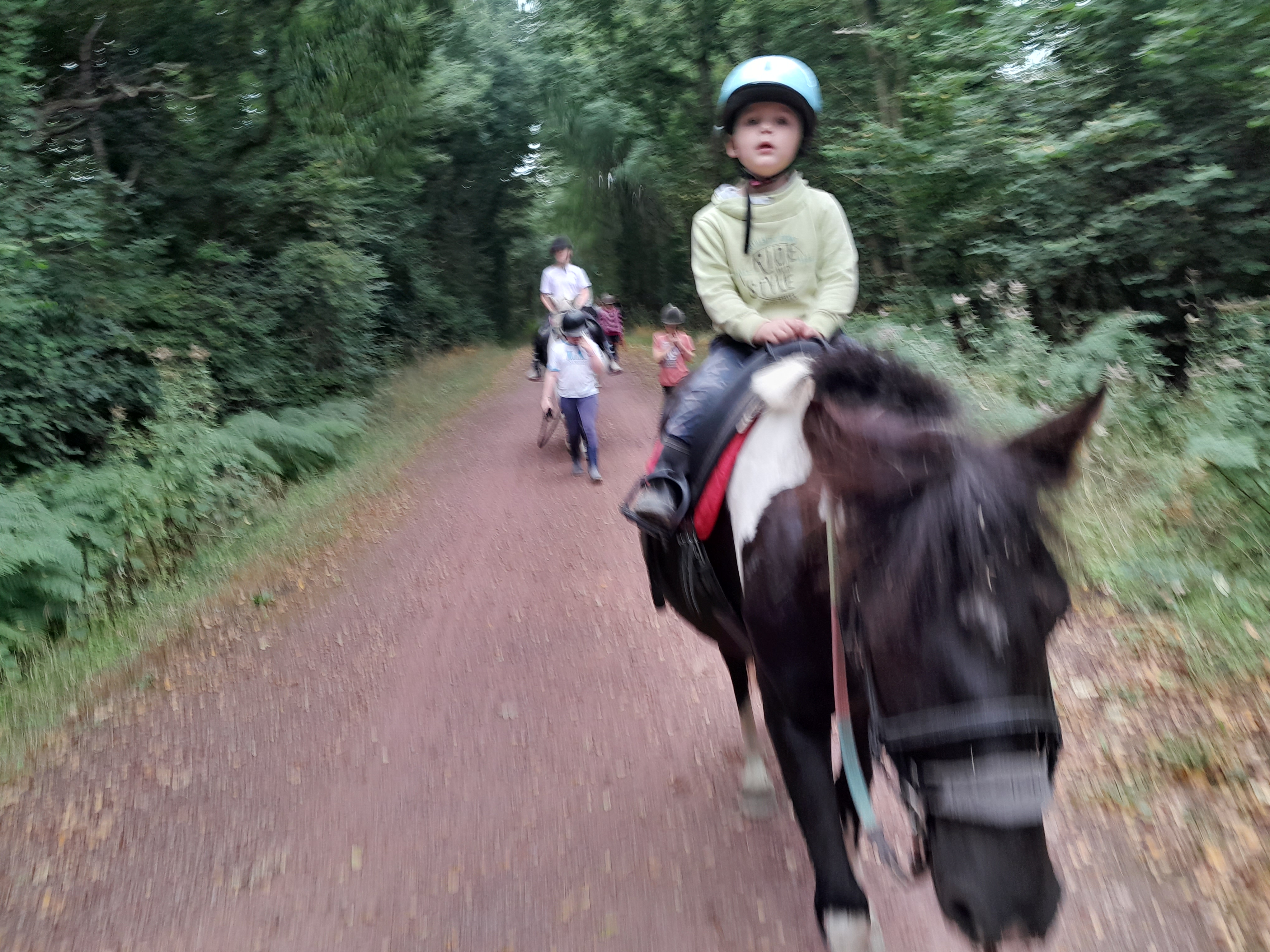 Photo de PROMENADE EN LIBRE MONTEE 25€/ H