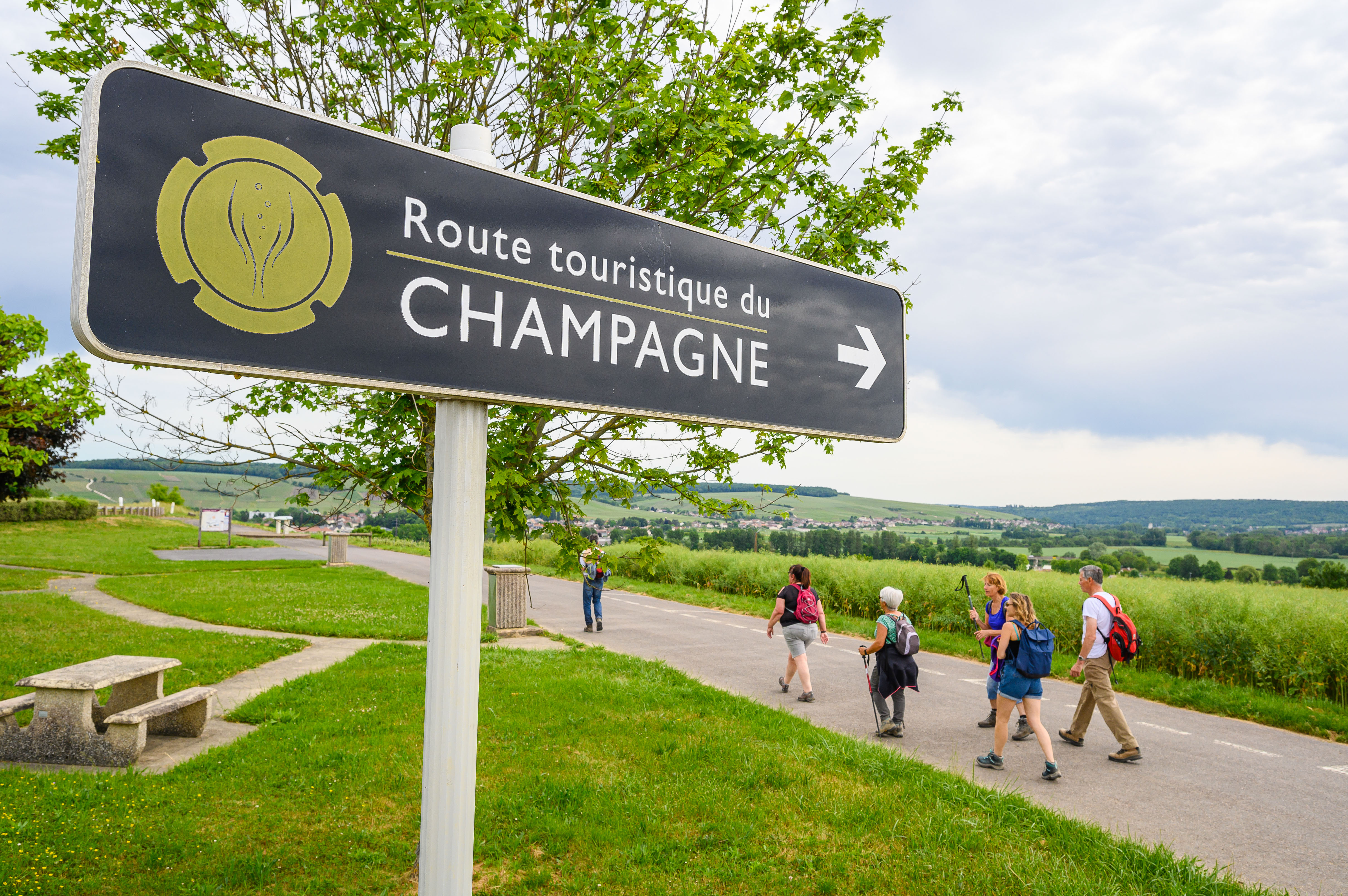 Photo de Randonnée et repas dans les vignes