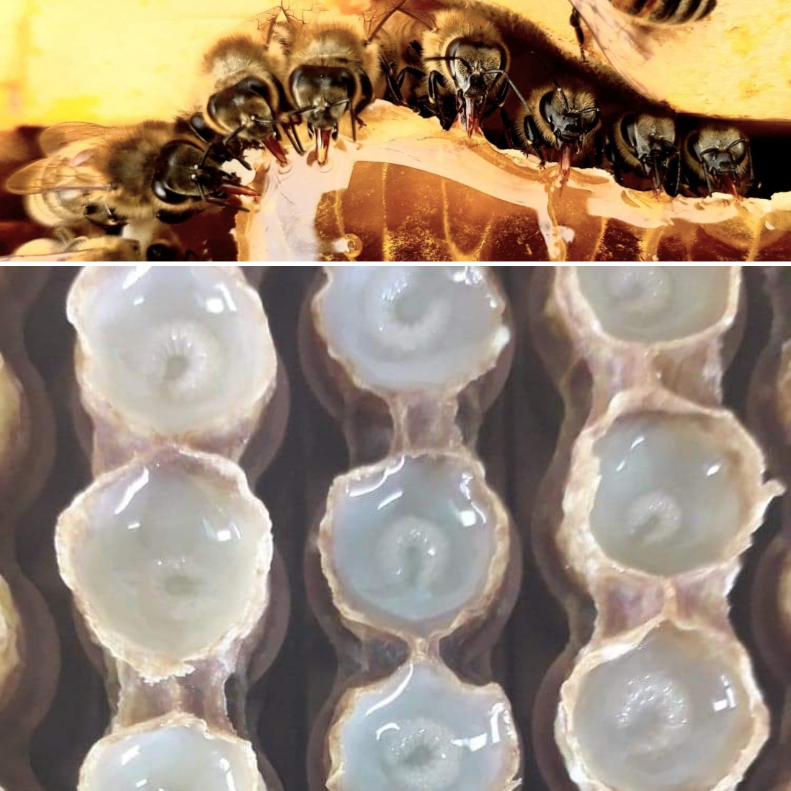 Photo de Portes ouvertes APIWEEK 