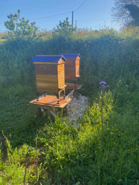 Photo de Salon à la ferme du 21 février au 1er mars