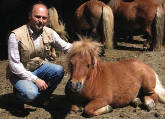 Photo de Poney-Club de Bois Guilbert