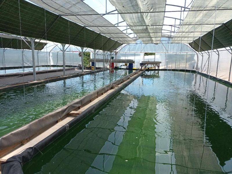 Photo de Visite de l'exploitation