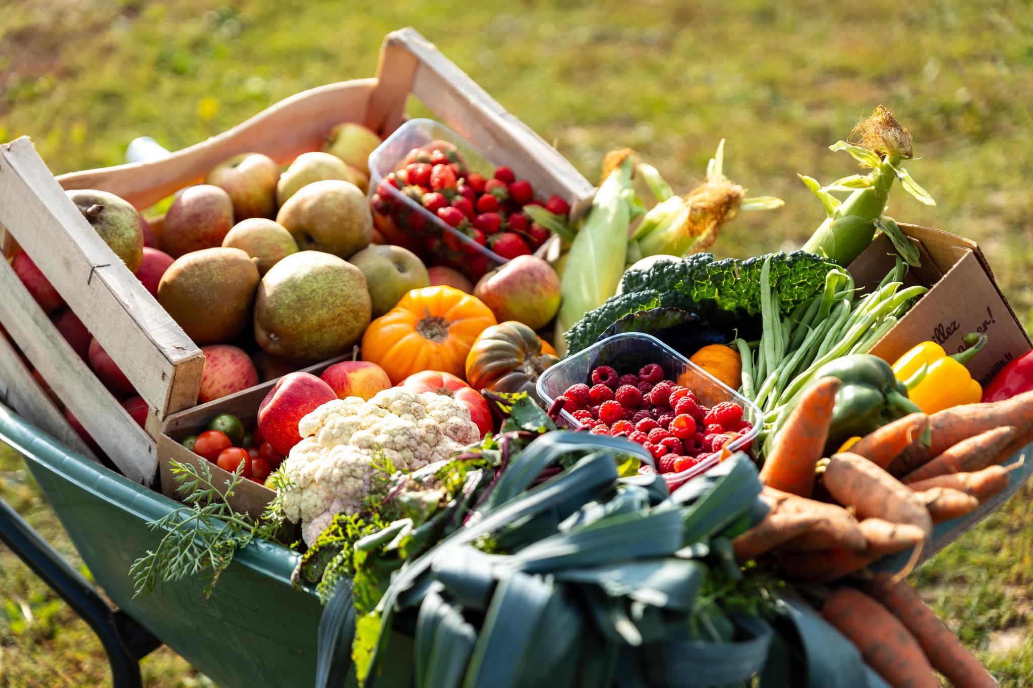 Photo de Cueillette de Torfou