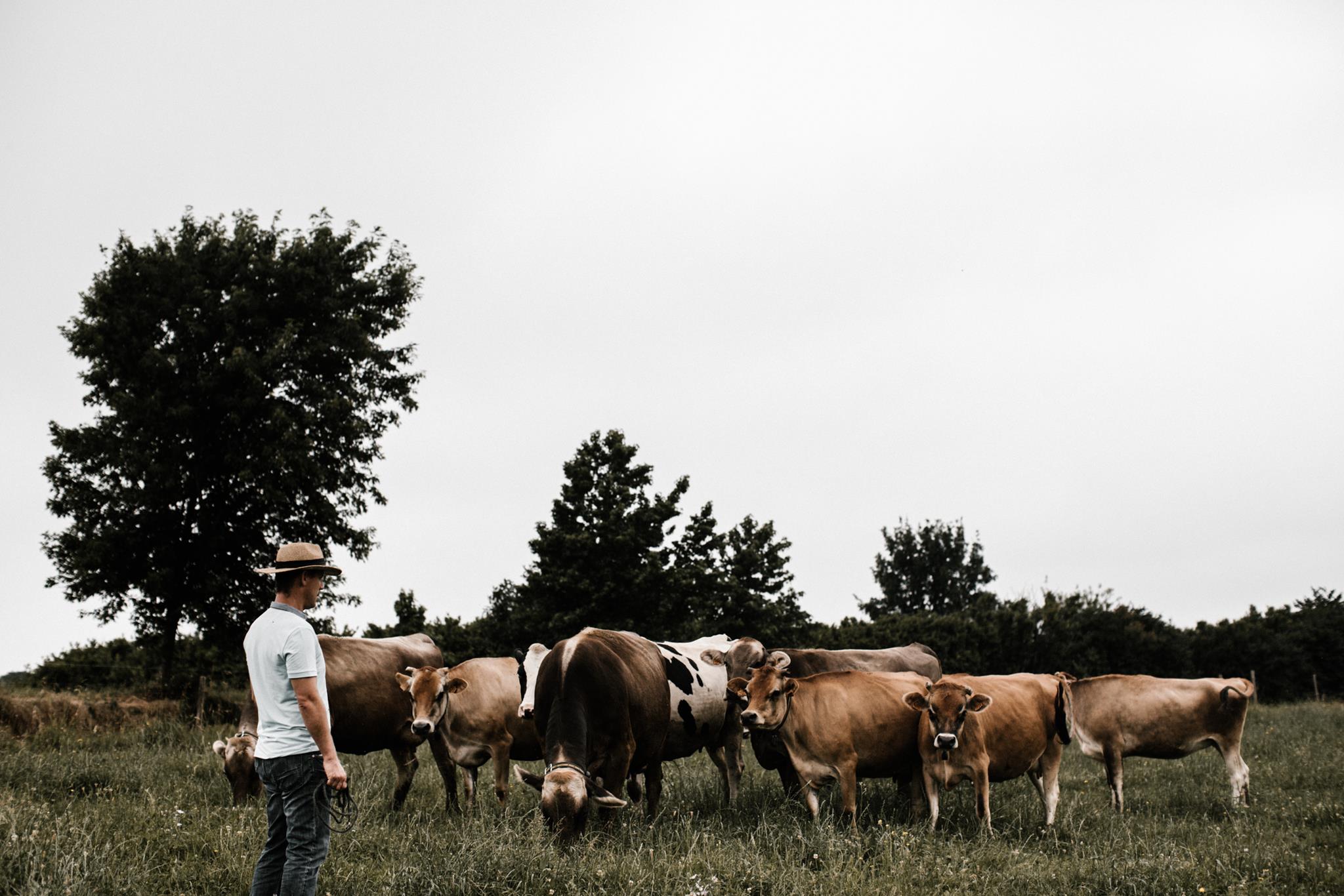 Photo de Soirée bœuf à la broche et chants béarnais