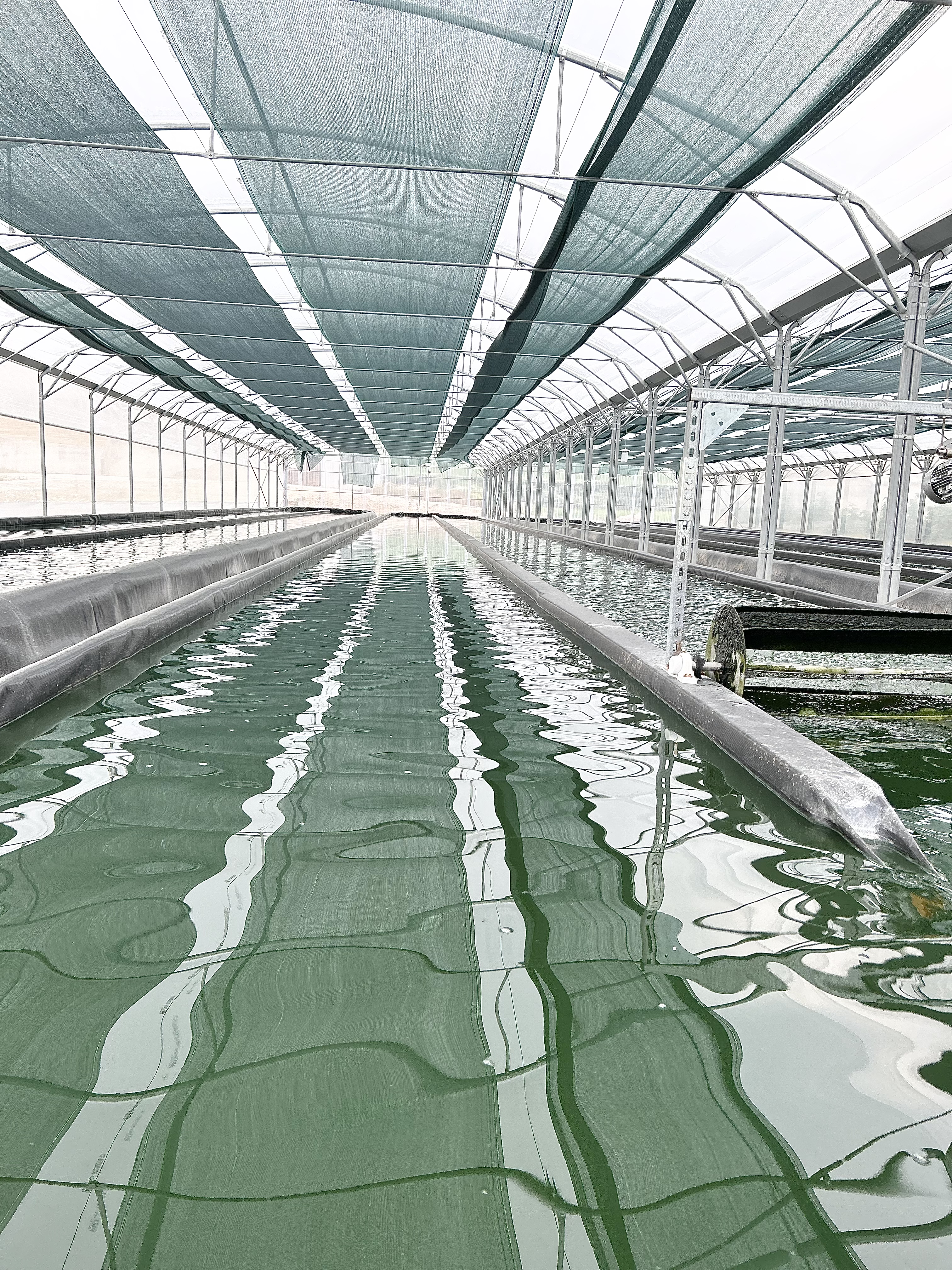 Photo de La ferme des MP