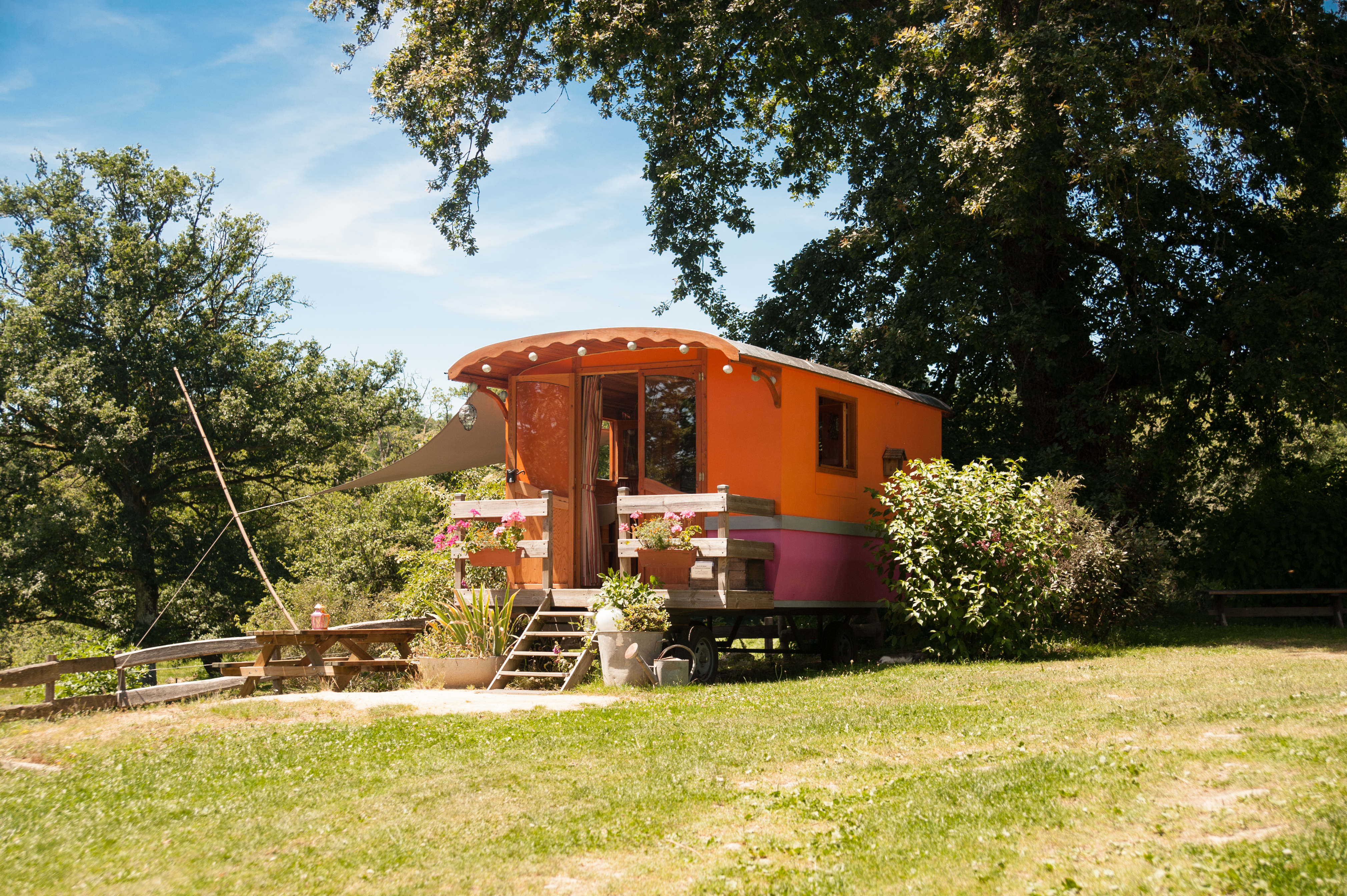 Photo de Les Ânes de Vassivière