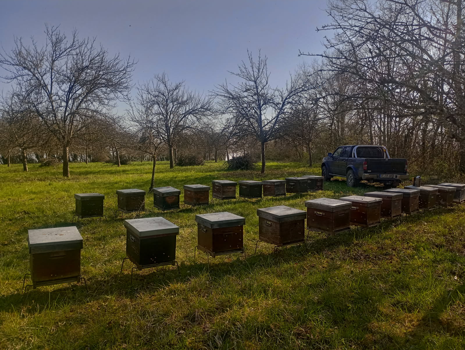 Photo de CIDRERIE ET RUCHERS SARTHOIS