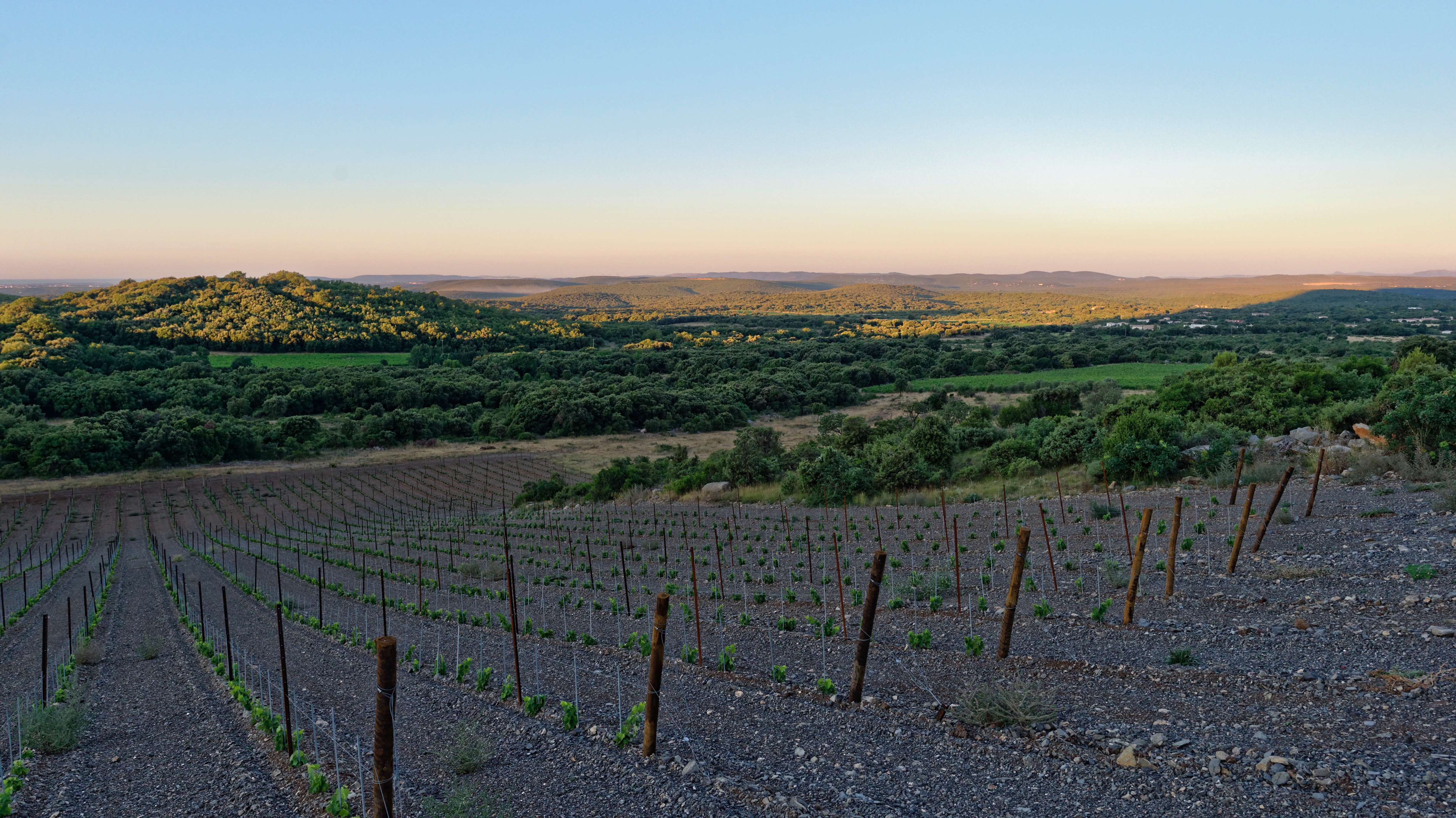 Photo de Héritage du Pic Saint Loup