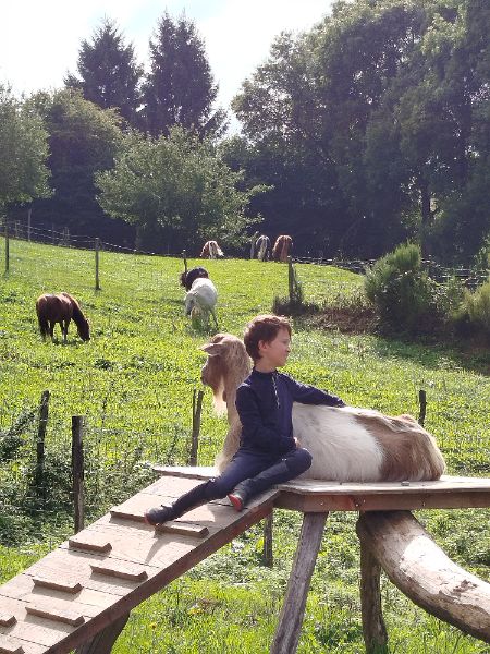 Photo de Visite ferme pédagogique