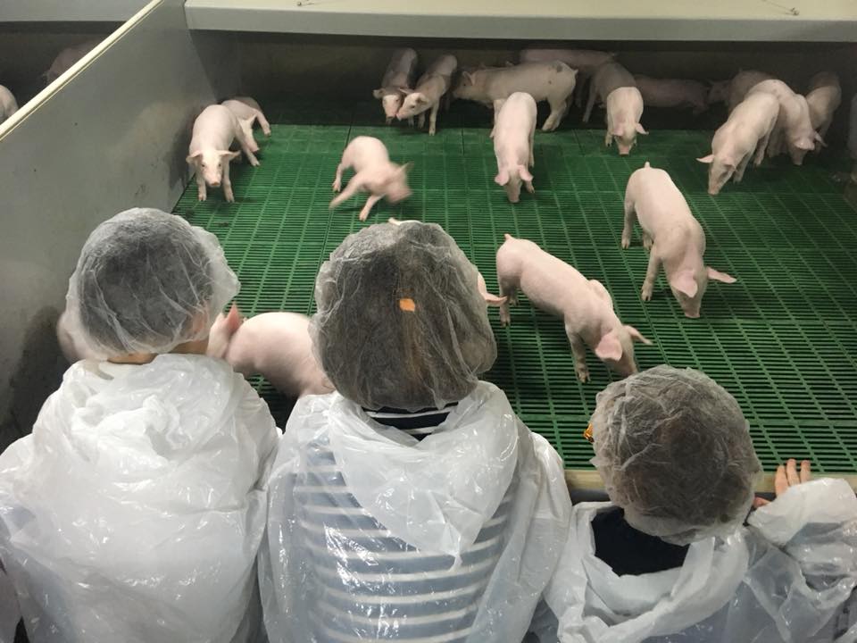 Photo de Visite à la ferme