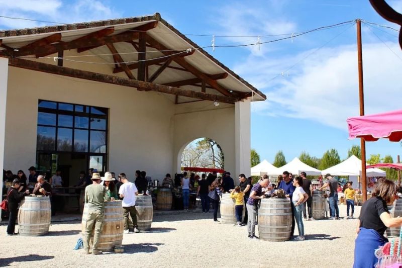 Photo de Chasse aux oeufs dans les vignes - Domaine de Montels