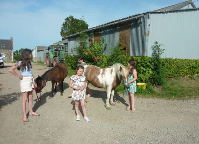 Photo de La P'tite ferme de Carole