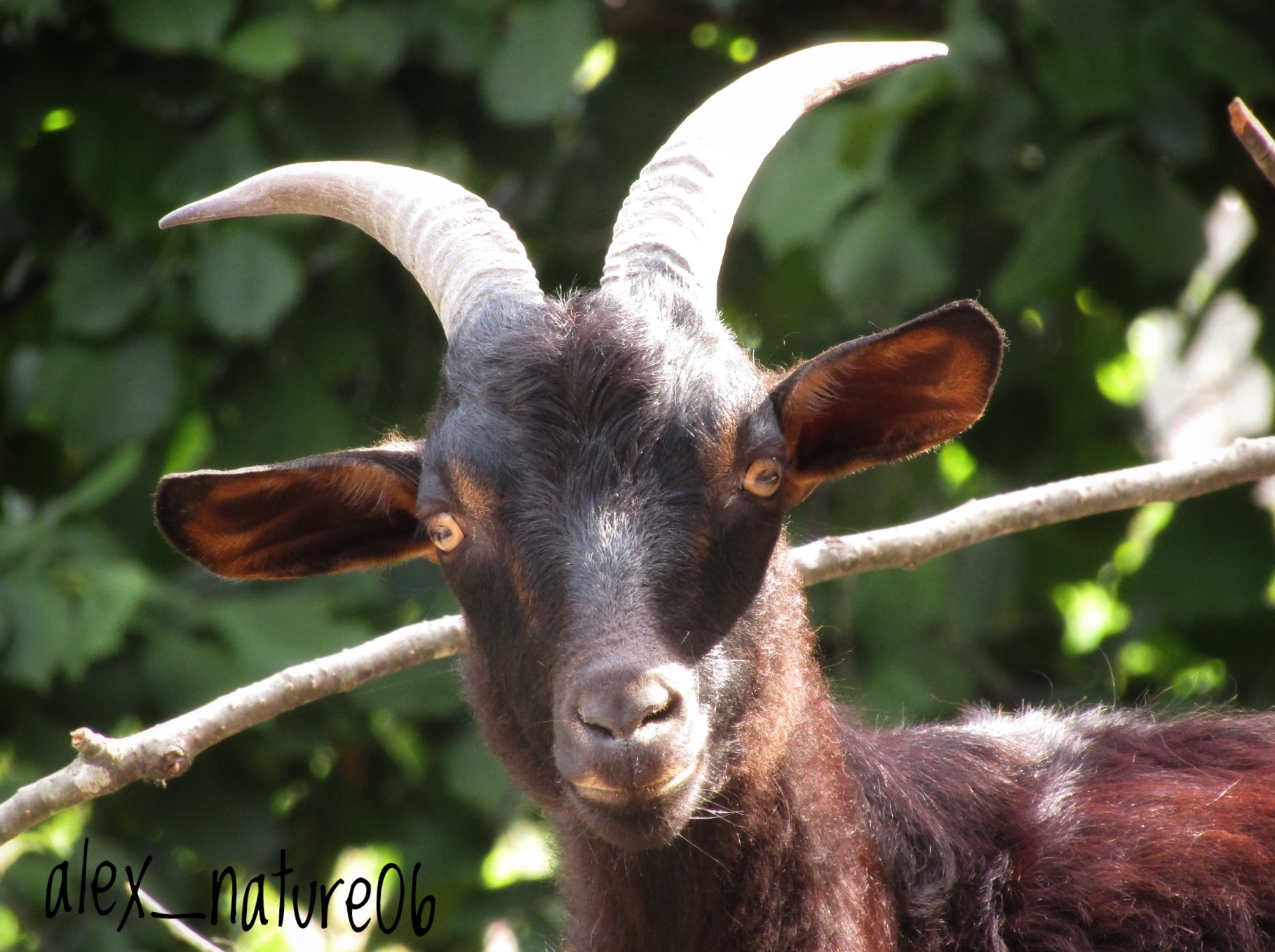 Photo de Graines de fermiers