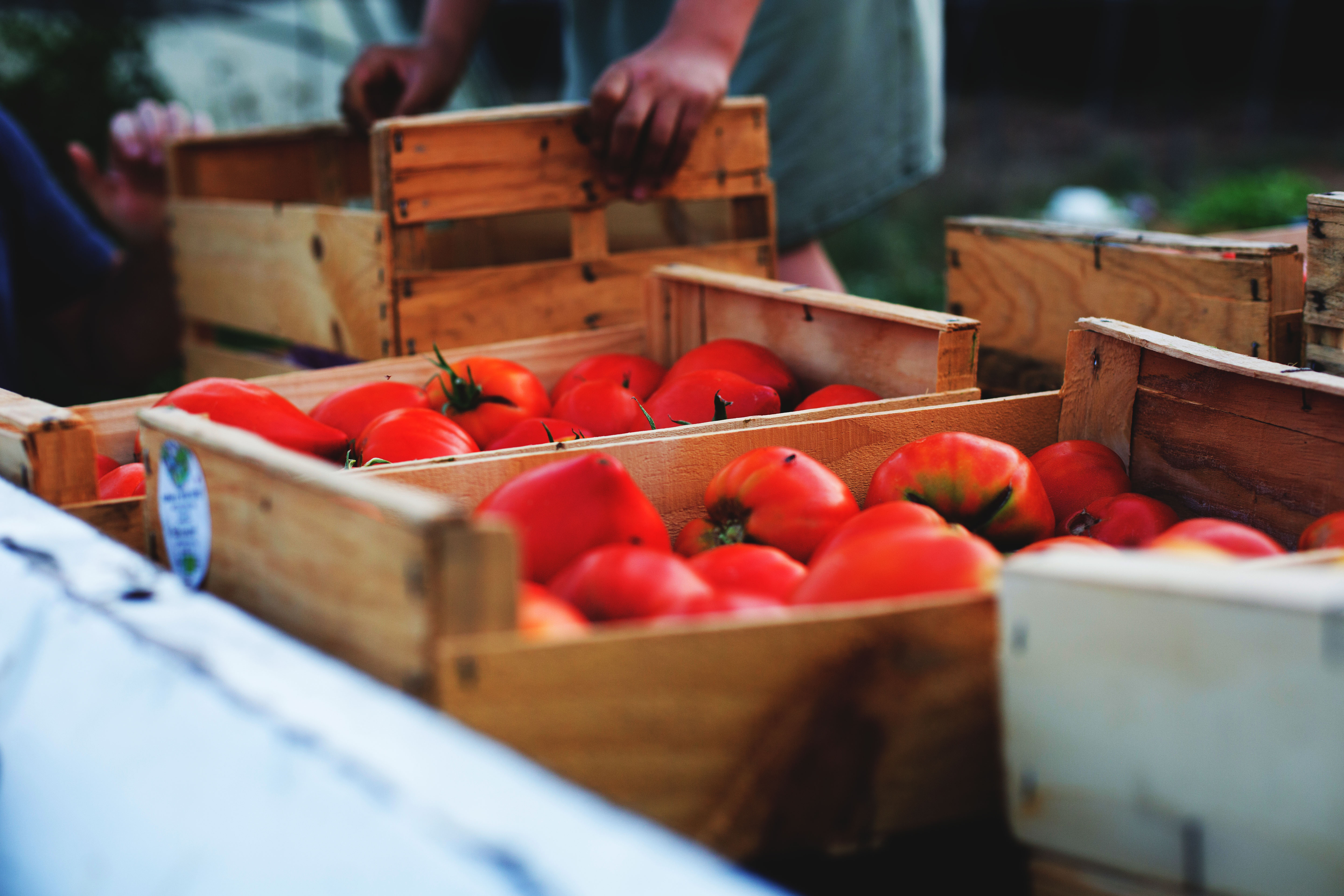 Photo de Elevage Familial Faur, La Ferme des Cairns