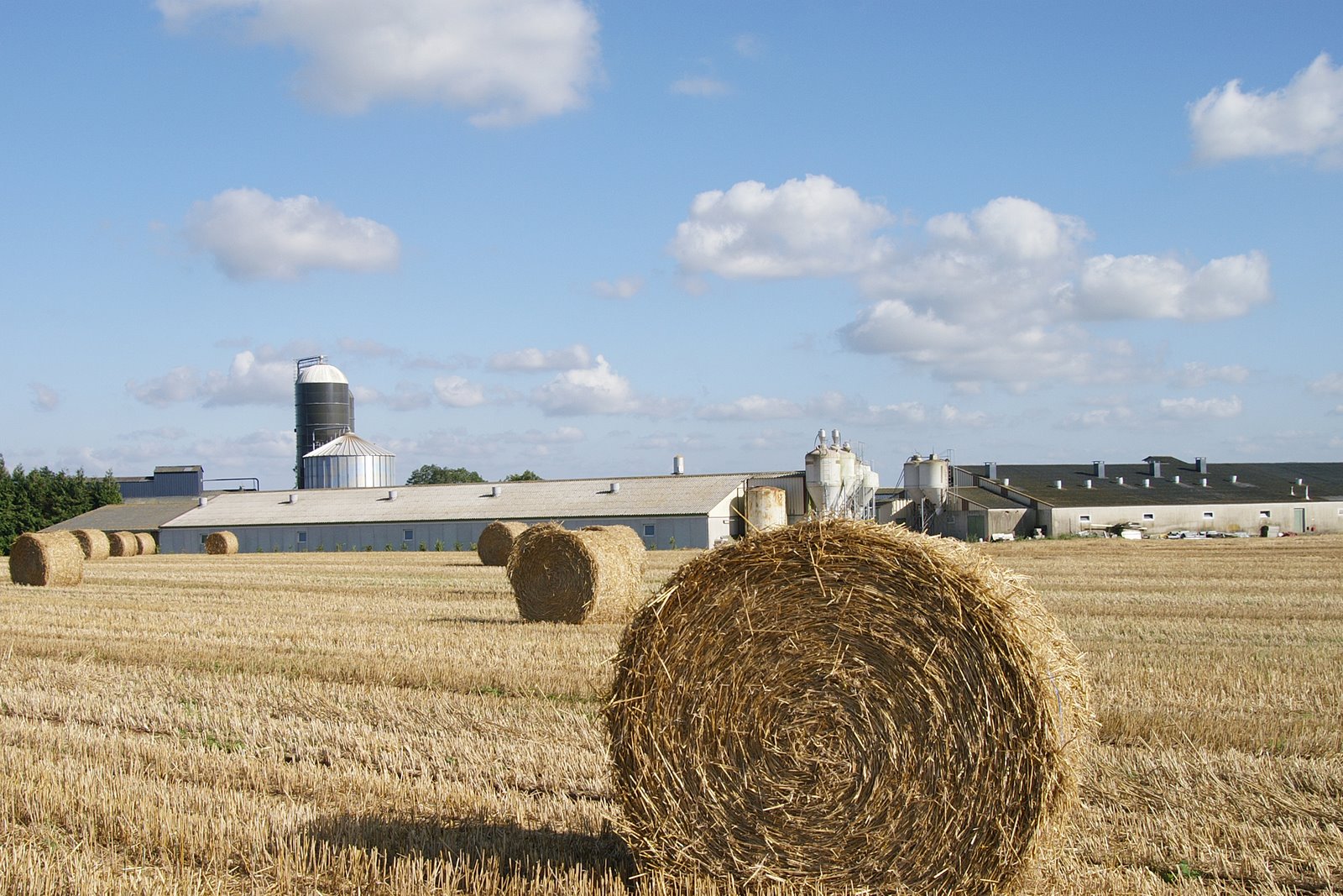 Photo de Visite à la ferme