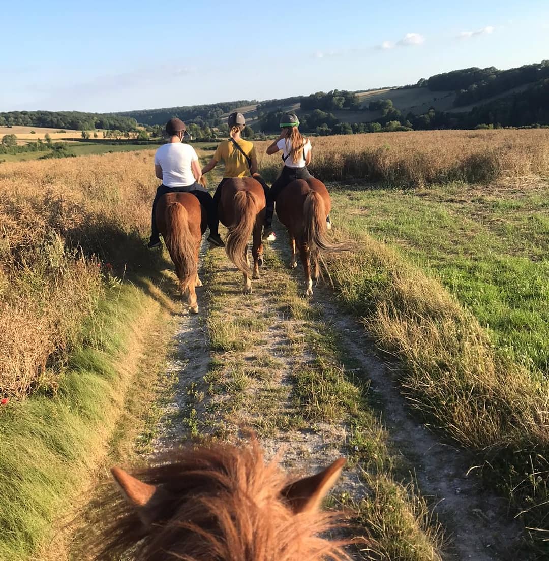 Photo de Balade à cru à cheval Islandais