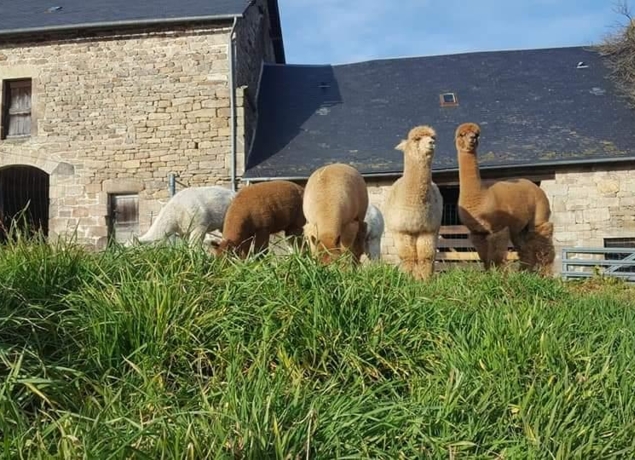 Photo de LES ALPAGAS DES MONEDIERES - Marie Fraysse