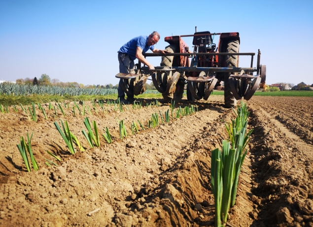 Photo de Ferme Cimetière