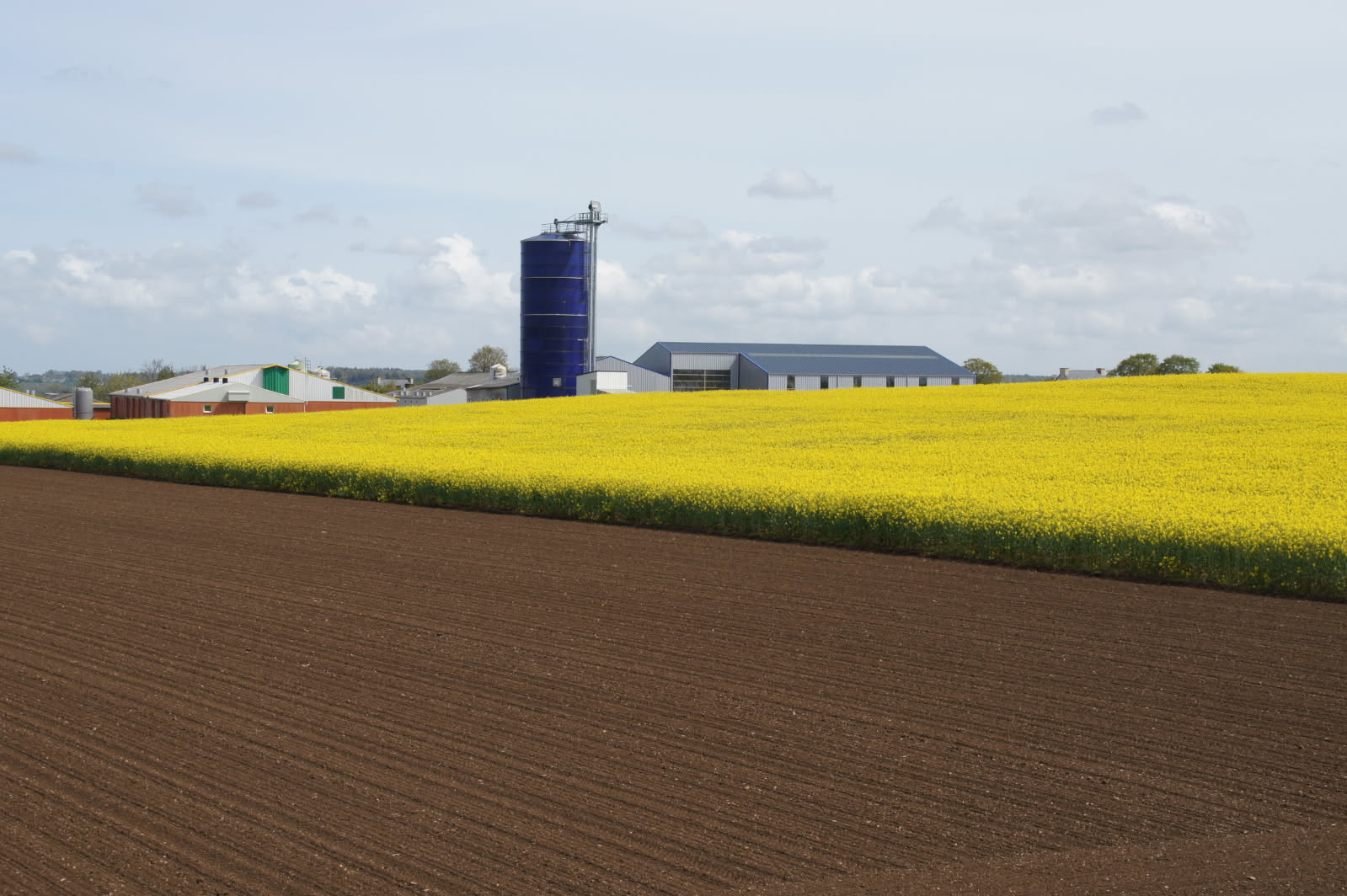 Photo de Visite à la ferme