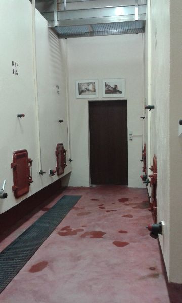 Photo de DEGUSTATION ET VISITE DES CHAI