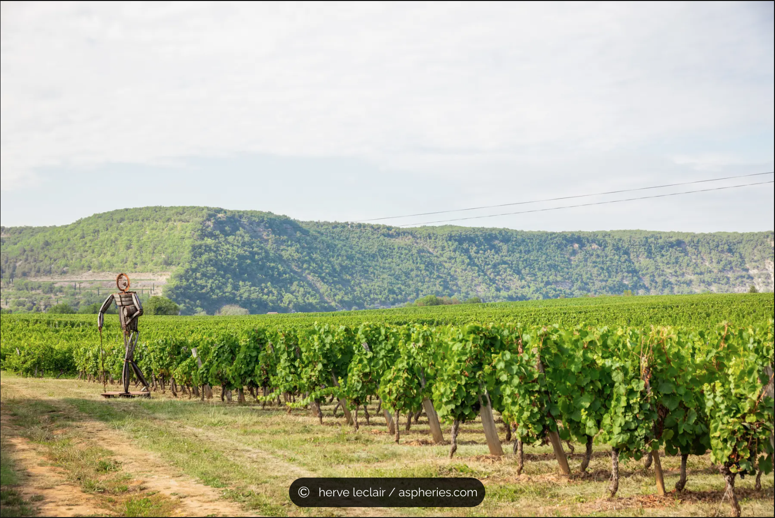 Photo de Château Saint-Sernin