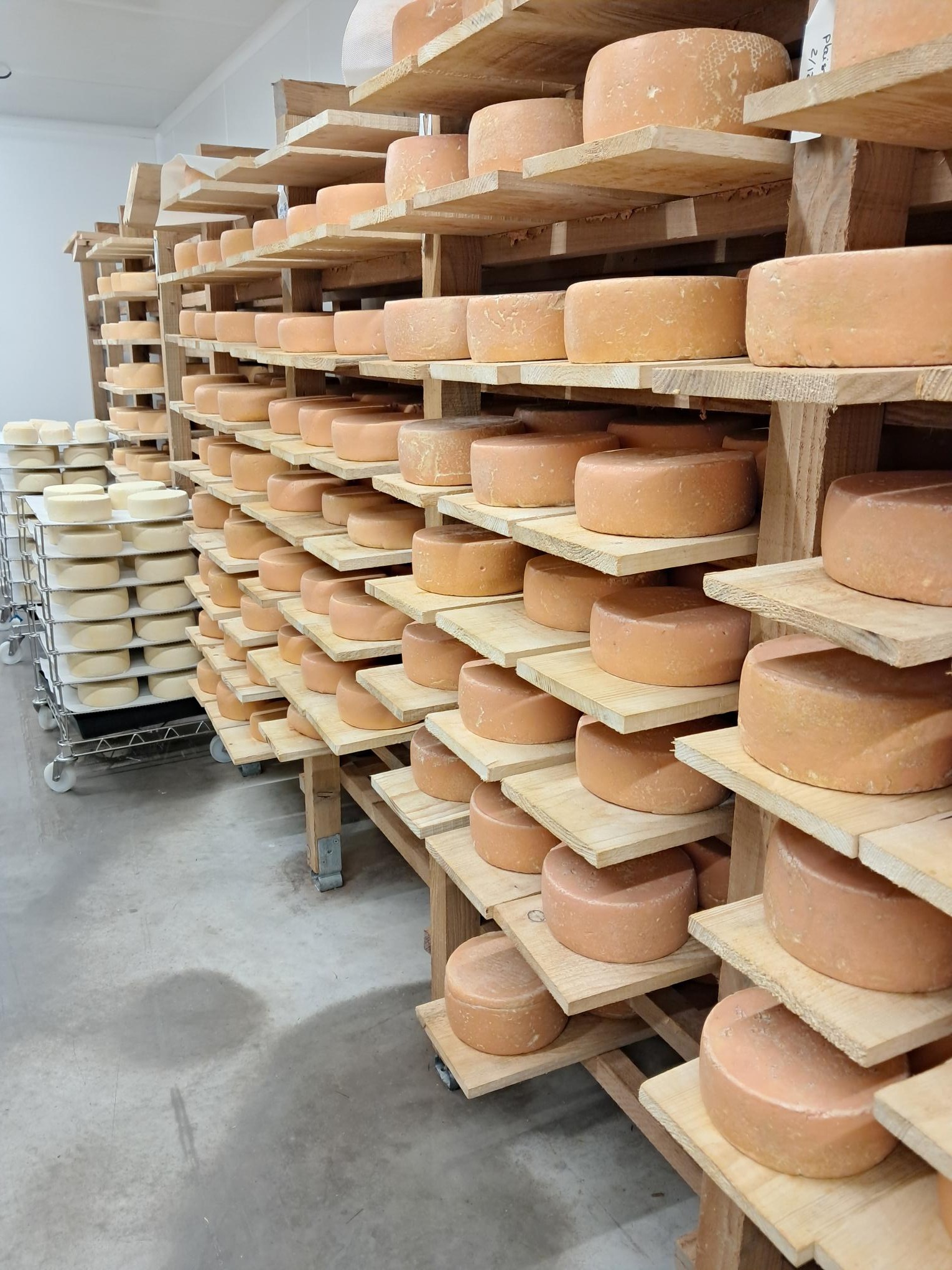 Photo de visite / dégustation à la fromagerie