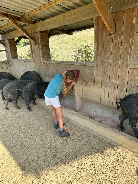 Photo de Devenez éleveur d'un jour