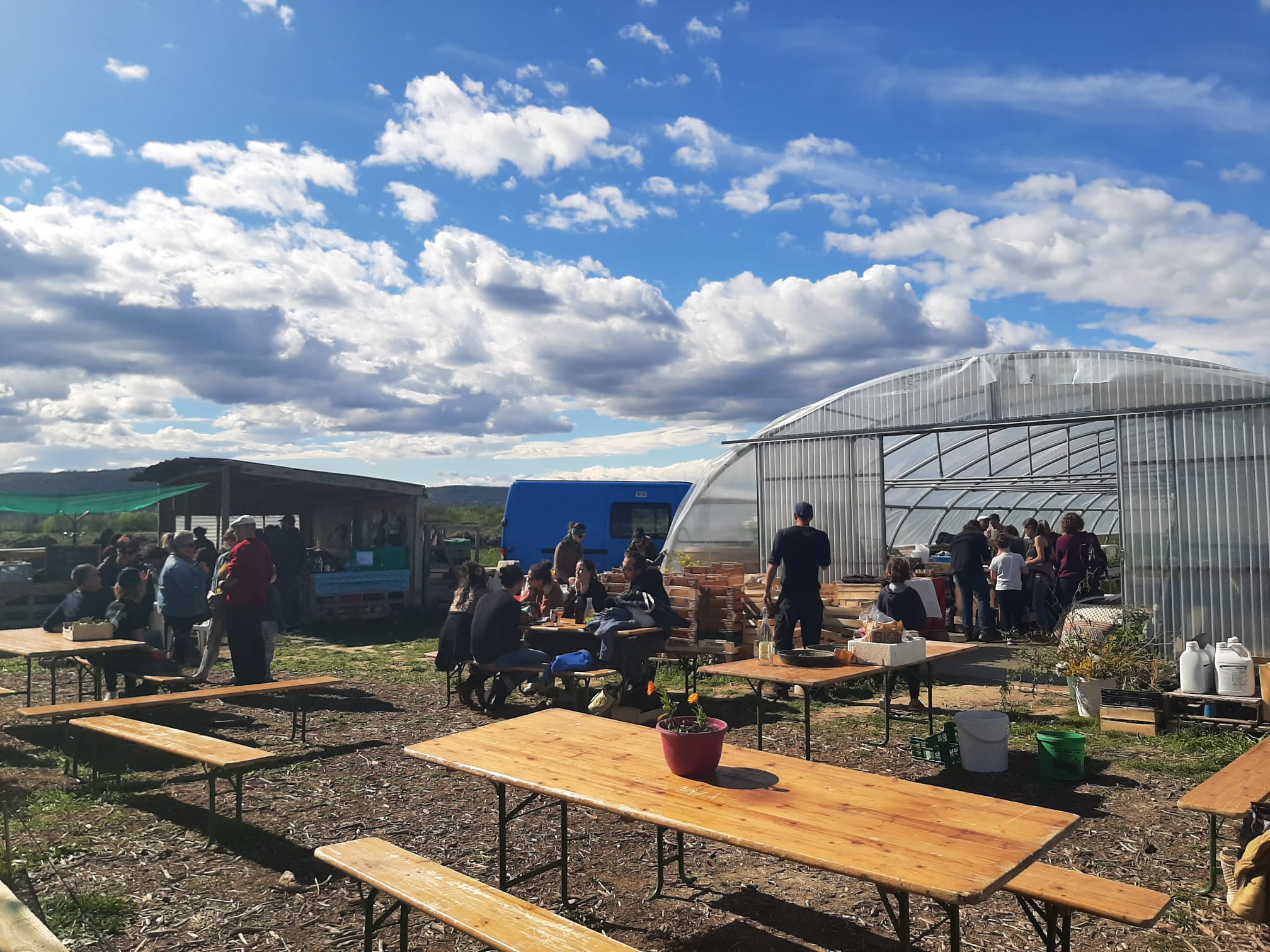 Photo de Fête diversifiée du printemps à la pépinière