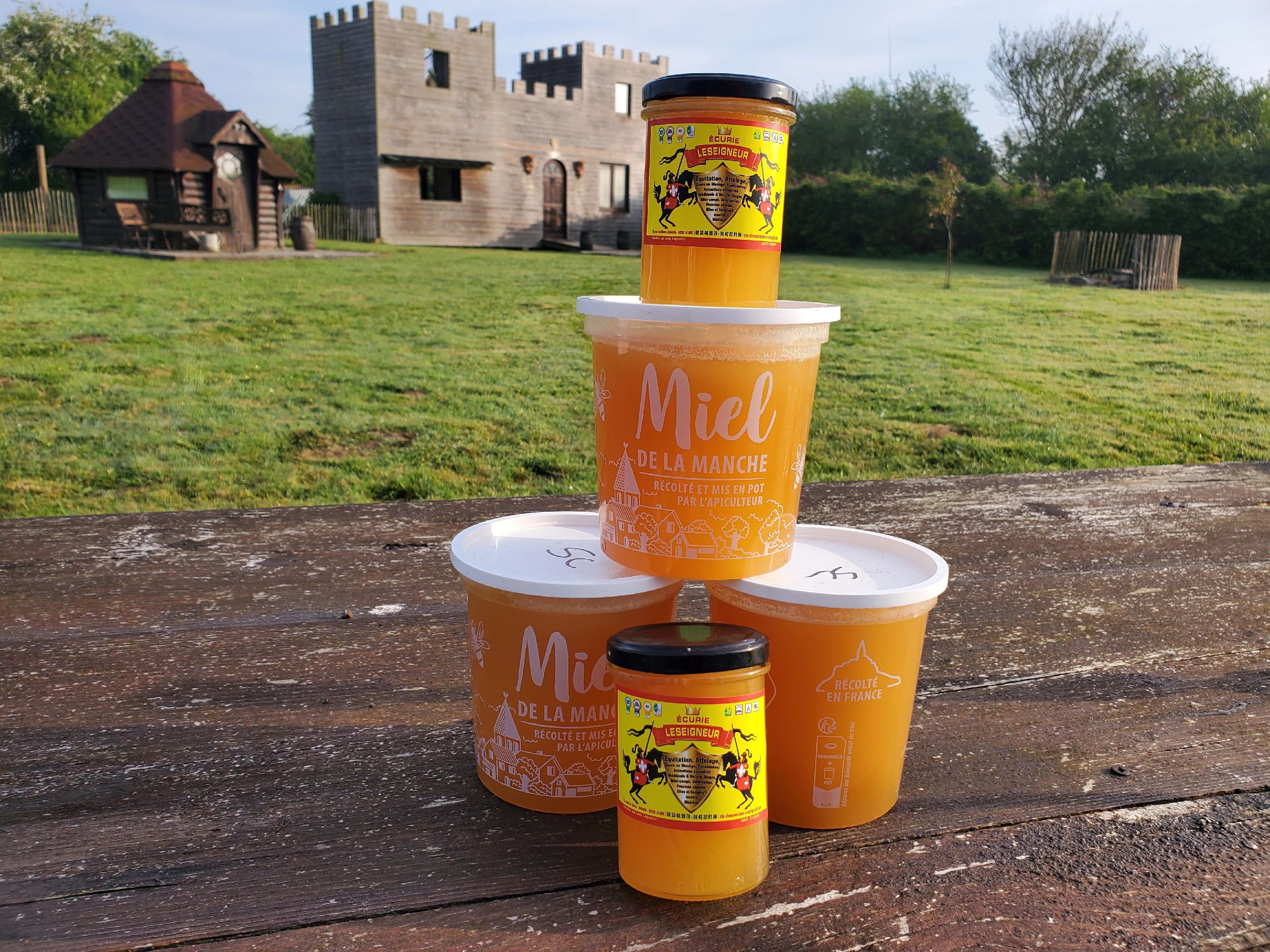 Photo de PROMENADE EN LIBRE MONTEE