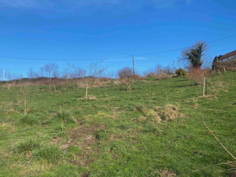 Photo de Salon à la ferme du 21 février au 1er mars